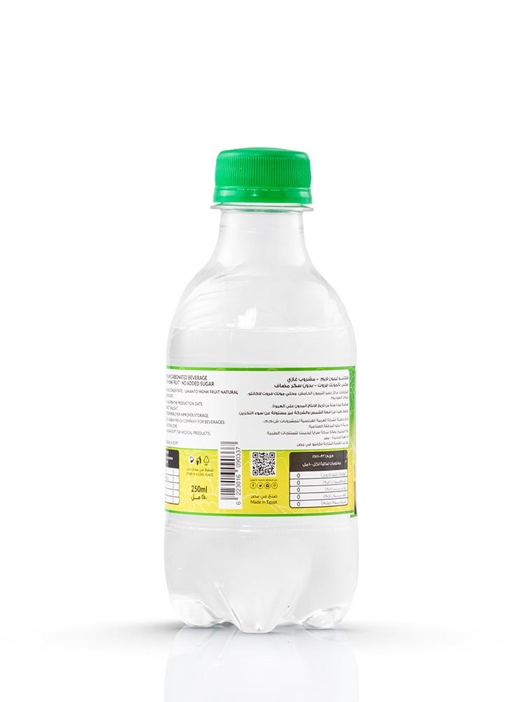 LAKANTO Naturally Sweetened Lemon Lime With Monkfruit - 250 ml - Image 3