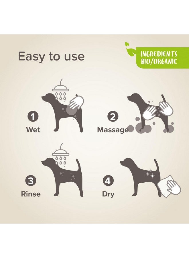 بيفار BEAPHAR - شامبو عالمي معتمد من ECOCERT لجميع أنواع شعر الكلاب - يحتوي على الصبار وزيت المكاديميا وأزهار الكركديه العضوية - درجة حموضة محايدة - جاهز للاستخدام - 200 مل - صنع في فرنسا مستحضرات تجميل بيطرية - Image 5