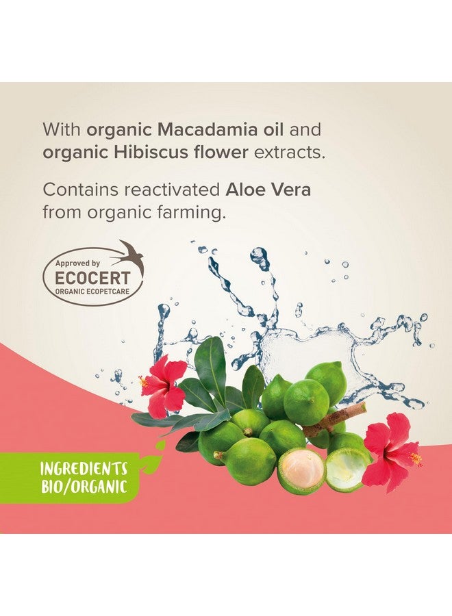 بيفار BEAPHAR - شامبو عالمي معتمد من ECOCERT لجميع أنواع شعر الكلاب - يحتوي على الصبار وزيت المكاديميا وأزهار الكركديه العضوية - درجة حموضة محايدة - جاهز للاستخدام - 200 مل - صنع في فرنسا مستحضرات تجميل بيطرية - Image 3