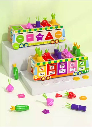 Shape Sorter Toy