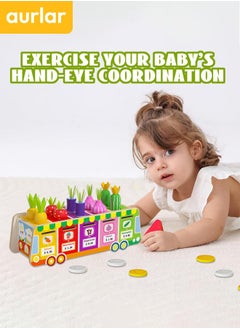 Shape Sorter Toy