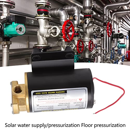 Bewinner Electric Gear Oil Pump for Diesels Engines, Thermal Motor Oil Transfer Pump with Brass Connector (12V) - Image 2