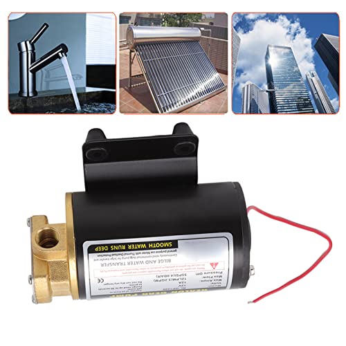 Bewinner Electric Gear Oil Pump for Diesels Engines, Thermal Motor Oil Transfer Pump with Brass Connector (12V) - Image 5