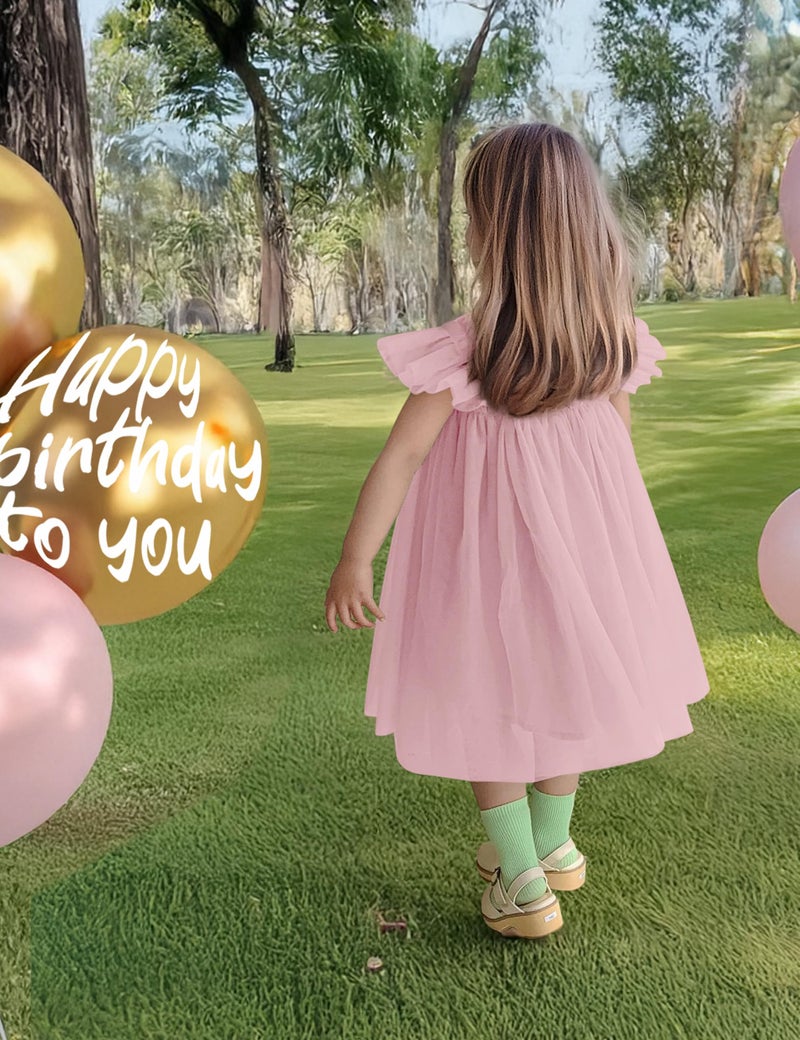 ANHDM Baby Girl Half Birthday Outfit 1/2 Halfway to One Short Sleeve Tulle Dress with Flower Headband, Light Pink, 6 Months=Tag 70 - Image 3