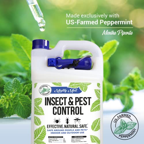 Mighty Mint Gallon (128 oz) Insect and Pest Repellent Peppermint Oil - Natural Spray for Spiders, Ants, and More - Image 5