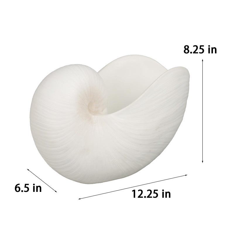 Braxio Modern Home Decor Sea Shell - Beach Themed Statue Resin Conch Shape Dish for Keys, Rings, or Succulent Planter - Coastal Decorative Bowls for Bathroom, Living Room, 12.25 x 6.25 x 8.25 Inch - Image 2