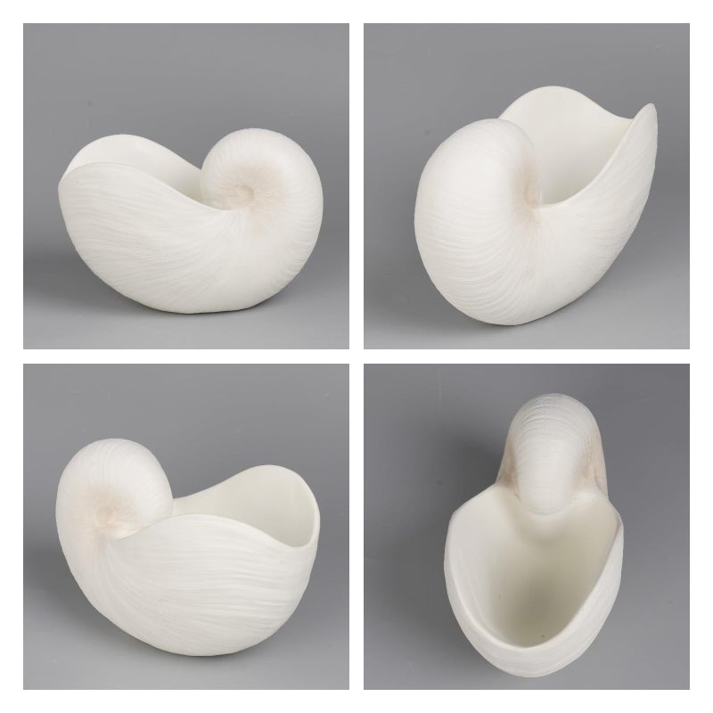 Braxio Modern Home Decor Sea Shell - Beach Themed Statue Resin Conch Shape Dish for Keys, Rings, or Succulent Planter - Coastal Decorative Bowls for Bathroom, Living Room, 12.25 x 6.25 x 8.25 Inch - Image 4