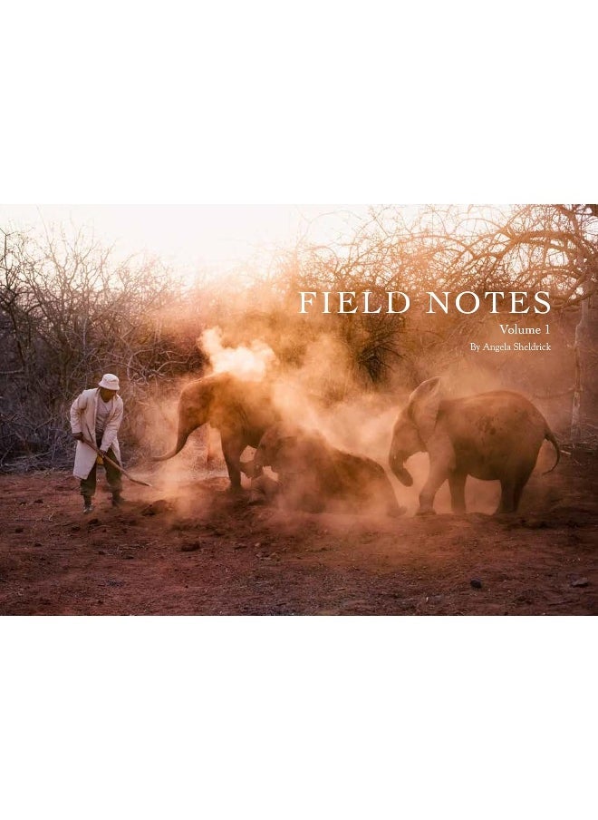 Field Notes: Volume 1 