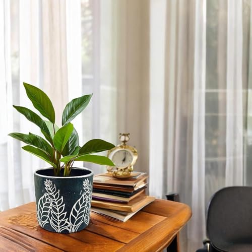 FOX & FERN Premium Ceramic Planter with Drainage-Hole for Vibrant Garden | Enhance The Ambiance of Your Home, Office or Garden (Dia. 5") (GA134B-040-SB) - Image 4