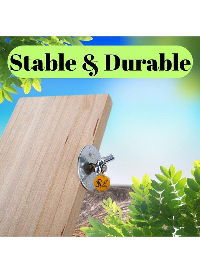 سايج سكوير منصة مستطيلة من الخشب الطبيعي مقاس 12 × 4.5 بوصة - مكان مثالي للعب لصديقك الريشي، تعزز الصحة البدنية والعقلية، تخلق بيئة طبيعية لطائرك المحبوب - Image 3