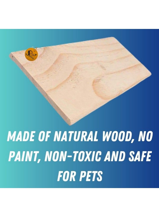سايج سكوير منصة مستطيلة من الخشب الطبيعي مقاس 12 × 4.5 بوصة - مكان مثالي للعب لصديقك الريشي، تعزز الصحة البدنية والعقلية، تخلق بيئة طبيعية لطائرك المحبوب - Image 4
