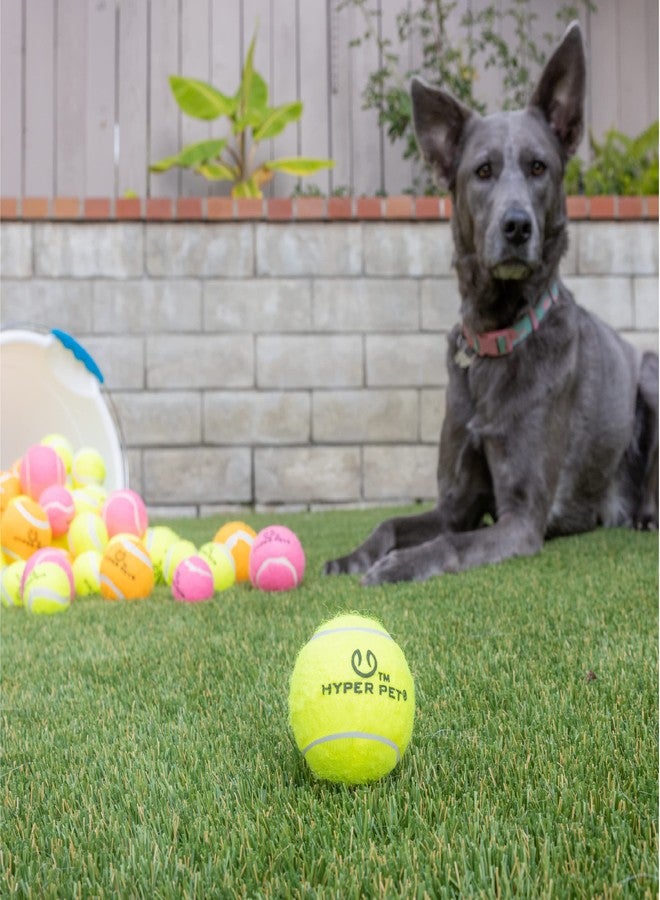 Hyper Pet Tennis Balls for Dogs, Pet Safe Dog Toys for Exercise and Training, Pack of 4, Green - Image 4