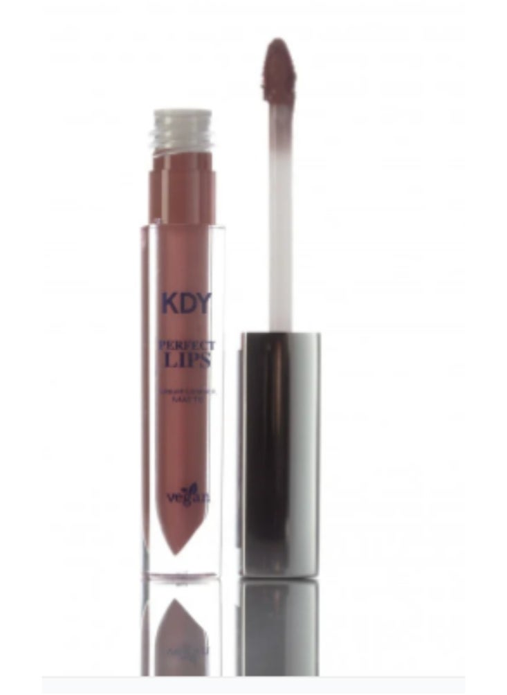 KDY - Liquid Lipstick (Daily 218) - Image 1