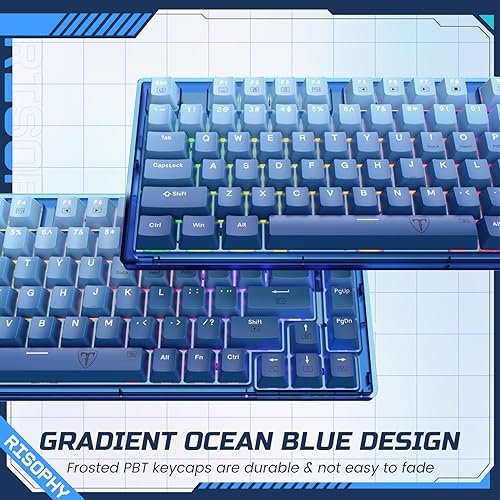 RisoPhy 60 Percent Mechanical Gaming Keyboard - 82 Keys Hot Swappable, Linear Silent Red Switches, Blue PBT Keycaps, Compact Mini RGB Led Backlit Wired, Pro Driver Supported - Image 5