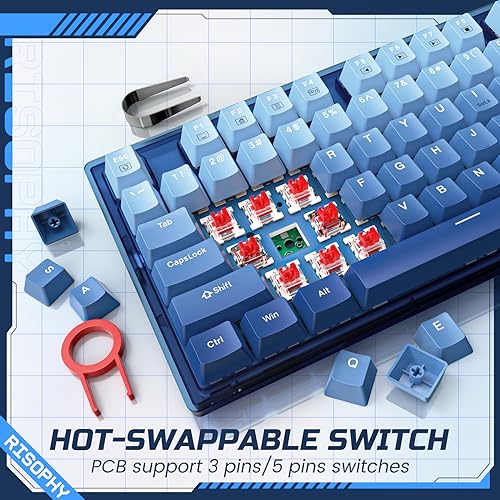 RisoPhy 60 Percent Mechanical Gaming Keyboard - 82 Keys Hot Swappable, Linear Silent Red Switches, Blue PBT Keycaps, Compact Mini RGB Led Backlit Wired, Pro Driver Supported - Image 2
