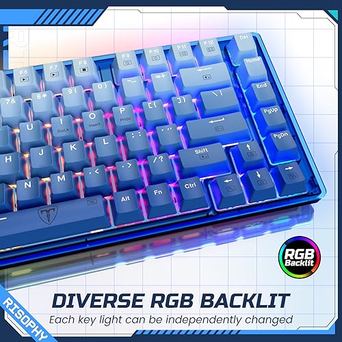RisoPhy 60 Percent Mechanical Gaming Keyboard - 82 Keys Hot Swappable, Linear Silent Red Switches, Blue PBT Keycaps, Compact Mini RGB Led Backlit Wired, Pro Driver Supported - Image 4