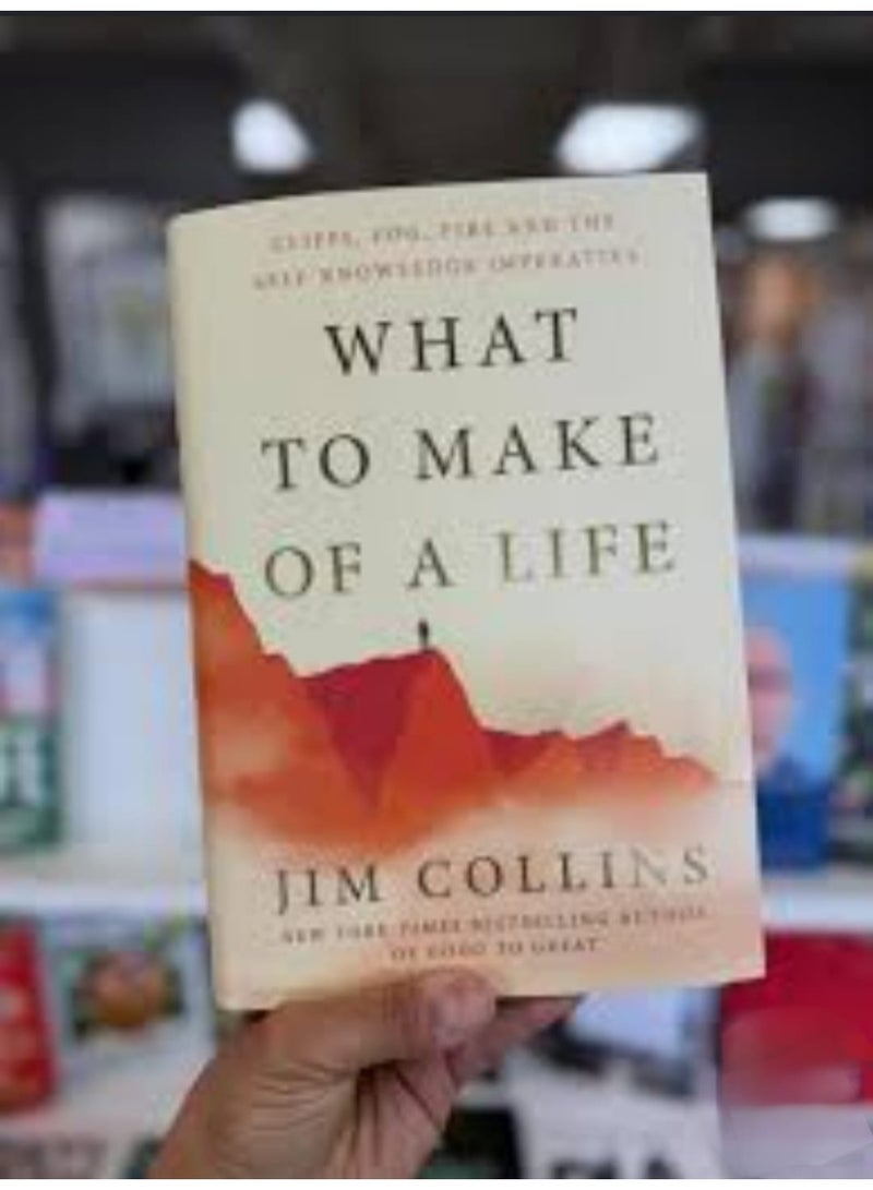 What to Make of a Life - Image 2