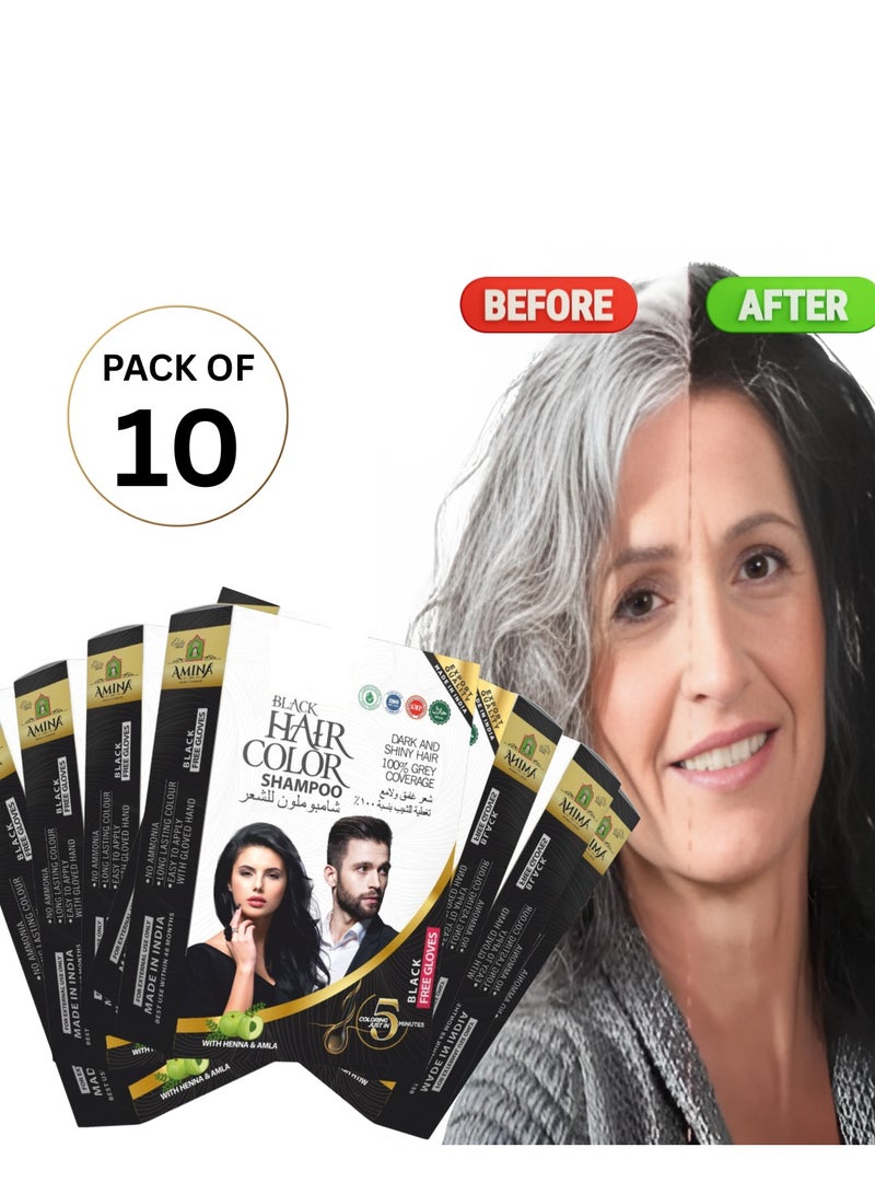 Amina 1 Minute Express Vip Permanent Black Herbal Hair Colour Shampoo With Heena & Amla for Men and Women 200ml (20ml Pack of 10) Quickest Colours For Your Hair With Gloves Free - Image 1