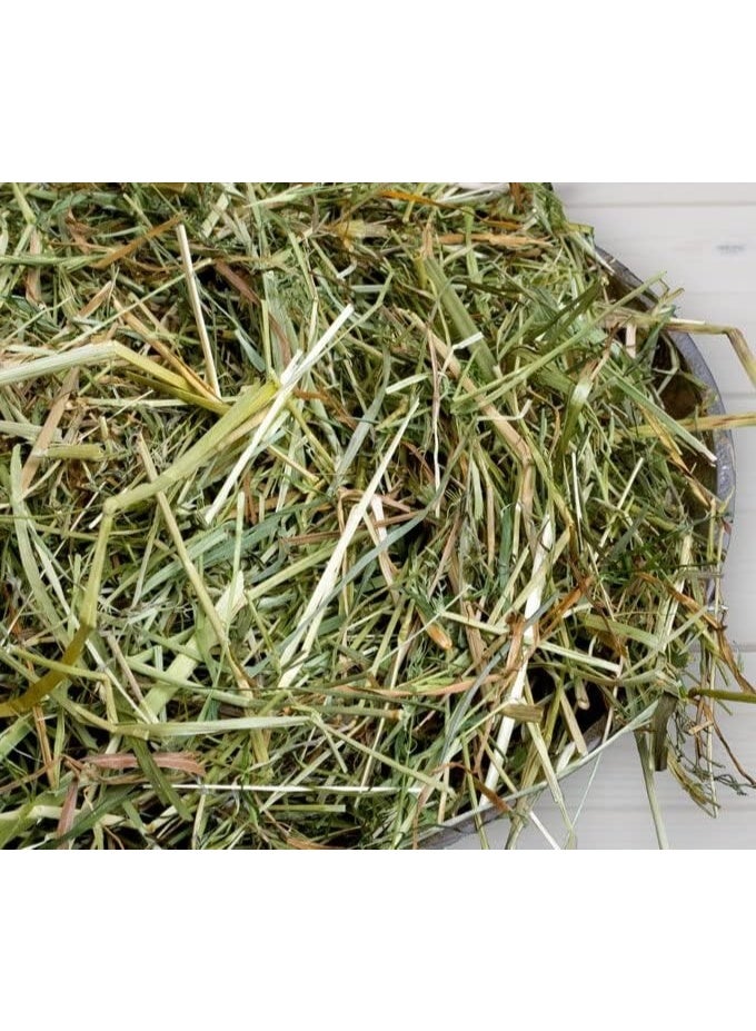 MODERNA Little One Mountain hay 1kg - Image 2