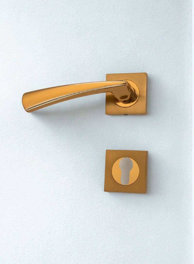 Siag Hazal Rosetta Cylinder Door Handle