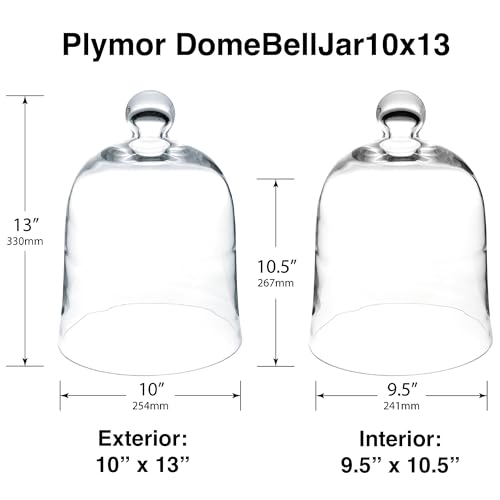 Plymor 10" x 13" Bell Jar Glass Display Dome Cloche (Interior Size 9.5" x 10.5") - Image 2