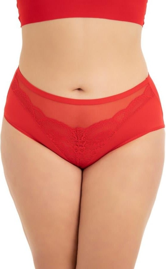 COTTONHILL Transparent Tulle Lace Detail Elastic Waist Plus Size Women's Bikini Panties 3-Pack  - Image 3