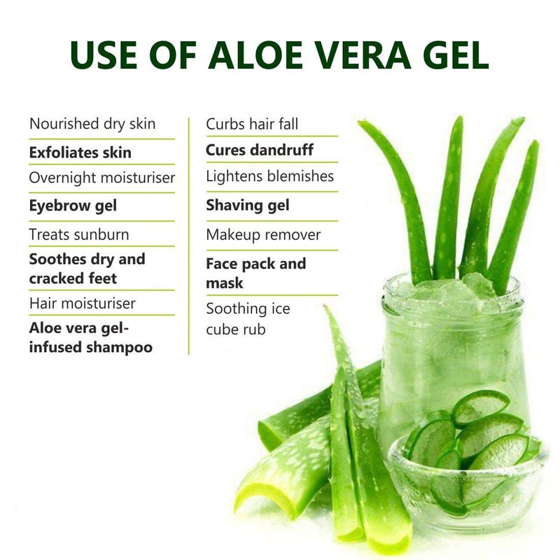 LA Organo LA Organo Pure Aloe Vera Gel From Freshly Cut Aloe Plants for Face Glow Skin Moisturizer and Hair Growth Deeply Hydrating Repairing Daily Moisturizer Aftershave Lotion 120 ml Pack of 3  - Image 4