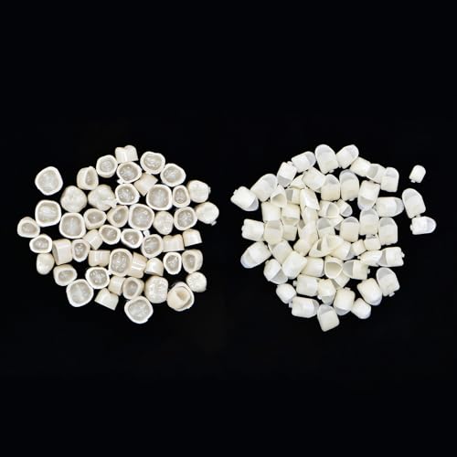 Angzhili 2 Box Dental Temporary Crown Veneers Tooth Cap Crown Veneers,for Front Back Tooth,Dental Supplies - Image 3