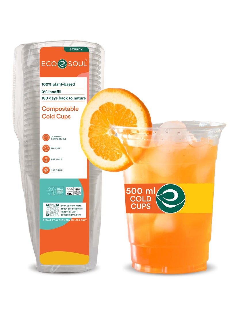 ECO SOUL Compostable PLA Cold Cups, 16oz 475 ml, 10 Pc - Image 1