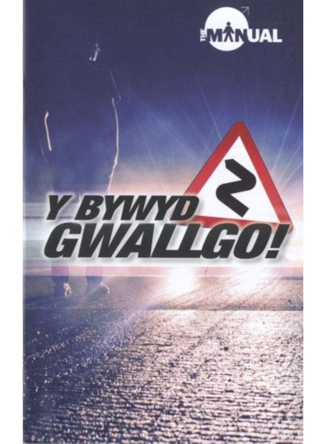 Bywyd Gwallgo Y - Paperback