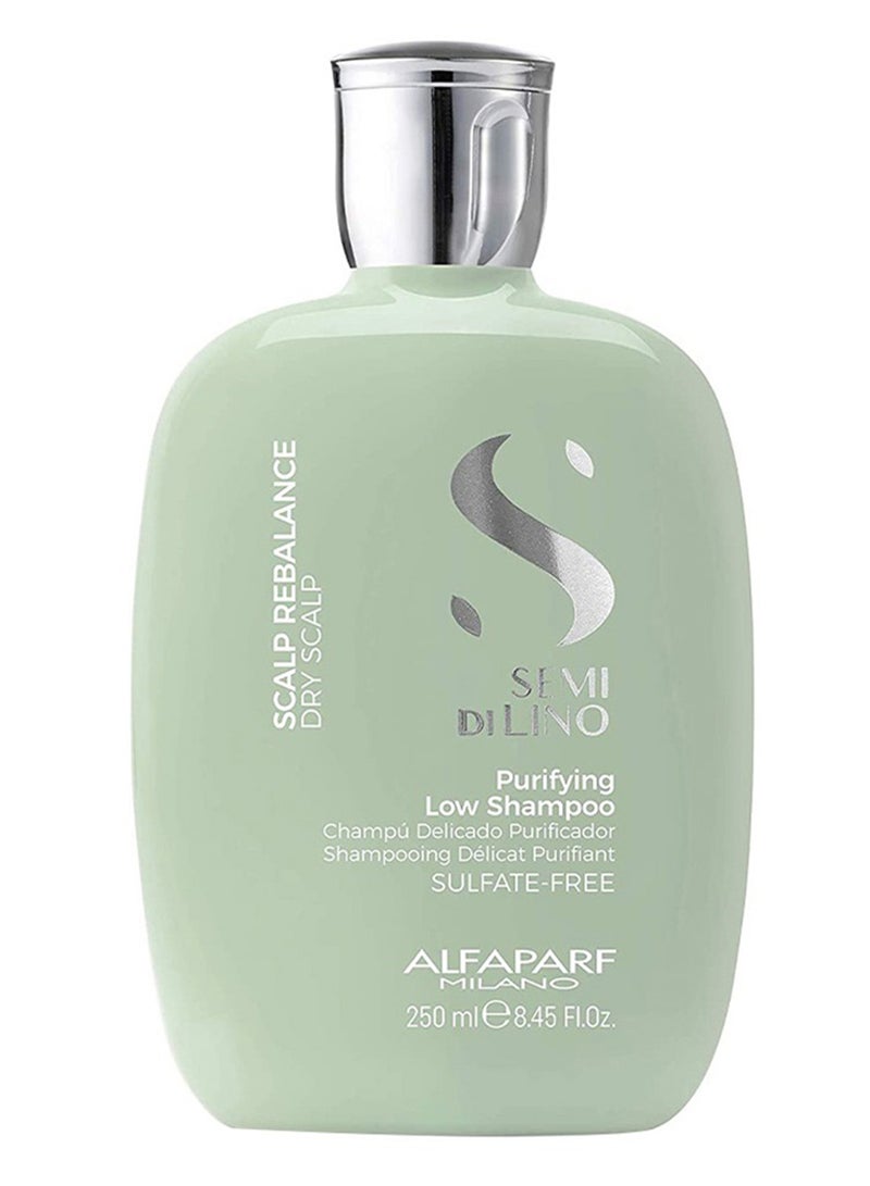 ALFAPARF Milano Semi Di Lino Scalp Rebalance Shampoo For Dry and Oily Sulfate-Free - Image 1