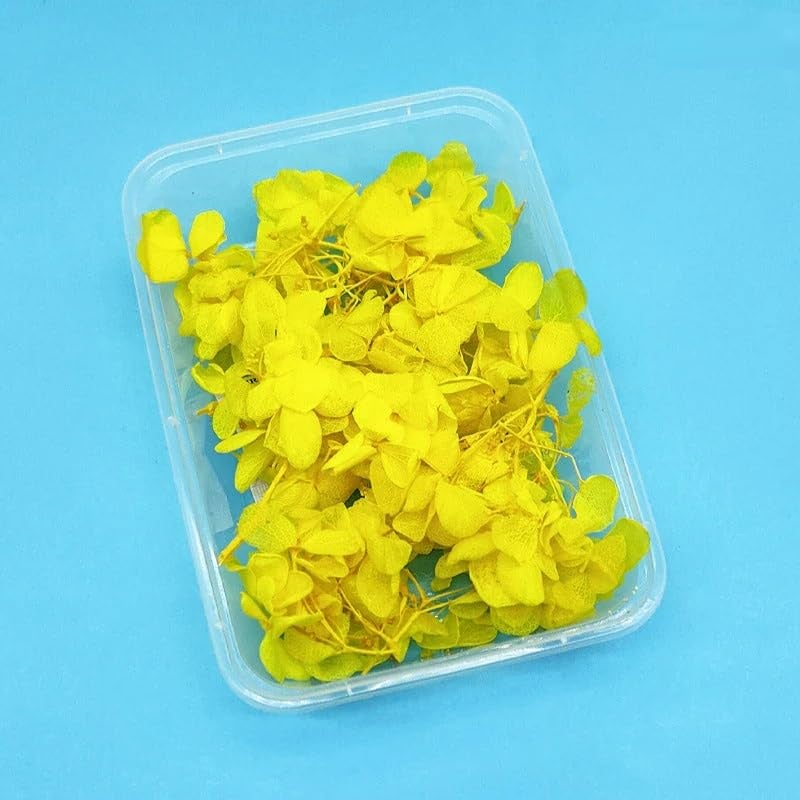 Yellow Real Dry Flower Box for Resin Art, Craft, Projects, Decoration and Much More (CD-DD082)