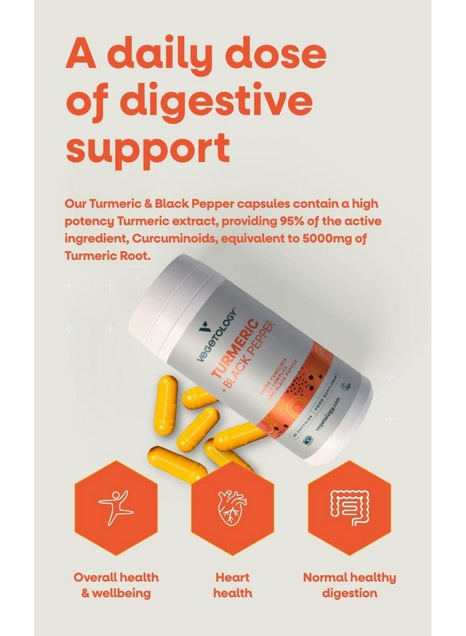 VEGETOLOGY Vegan Turmeric & Black Pepper Capsules (60 Capsules) - Tumeric Supplements Capsules 1 a Day - Supplements for Adults and Children - Image 3