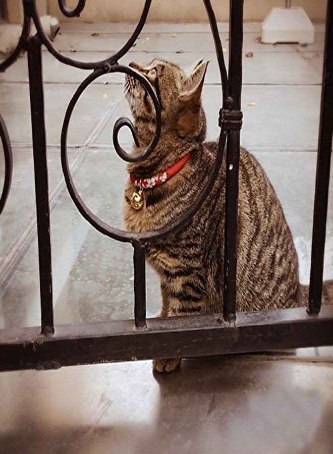 La La Pet Creation Core Japanese Style Flower Print Cat Collar with Golden Bell(Red,S) - Image 3