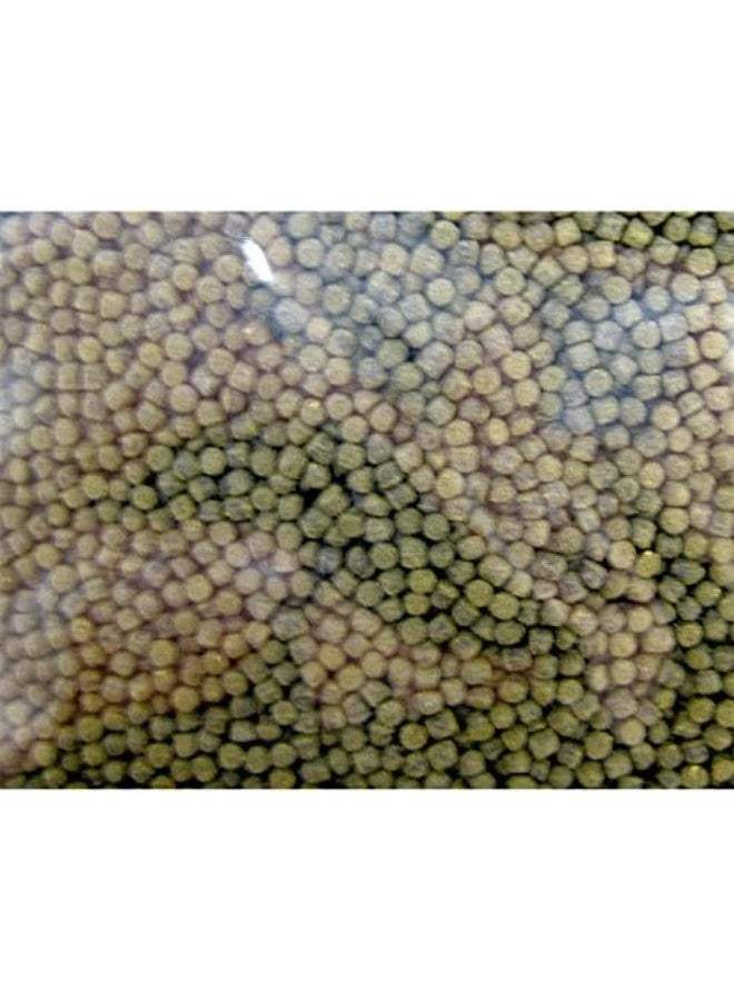 Hikari Sinking Cichlid Excel - Mini Pellets - 2.2 lb