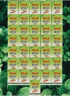 Pyary 36 Pieces Ayurvedic Soap Tumeric 
