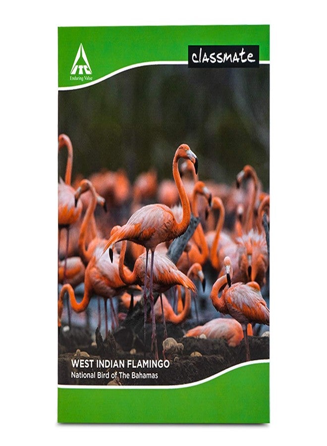Classmate Notebook - 240mm x 180mm, 172 Pages, Single Line - Count of 12 - Image 2
