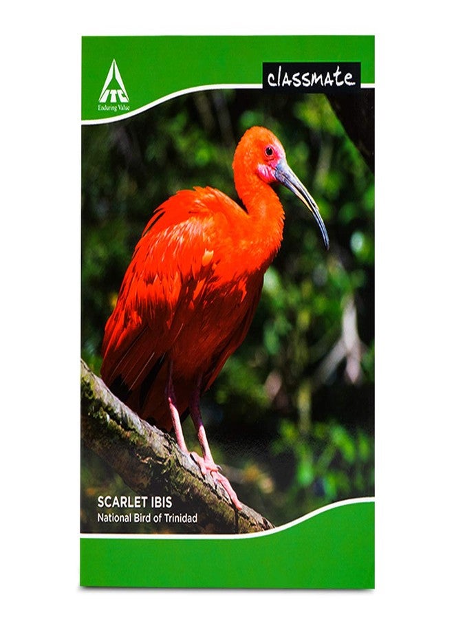 Classmate Notebook - 240mm x 180mm, 172 Pages, Single Line - Count of 12 - Image 4