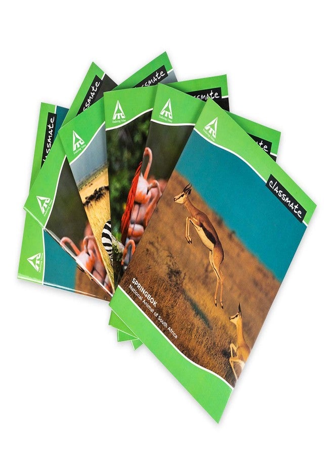 Classmate Notebook - 240mm x 180mm, 172 Pages, Single Line - Count of 12 - Image 5
