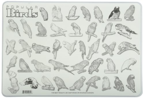 Painless Learning Popular Birds Placemat, Large - Image 2