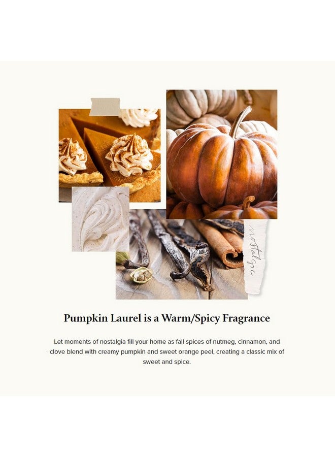 Thymes Scented Candles for Women & Men - Tin with Lid - Luxury Home Decor - Pumpkin Candles with Notes of Nutmeg, Cinnamon, Clove, & Orange Peel - Fall Decor (Pumpkin Laurel, 6.5 oz) - Image 3