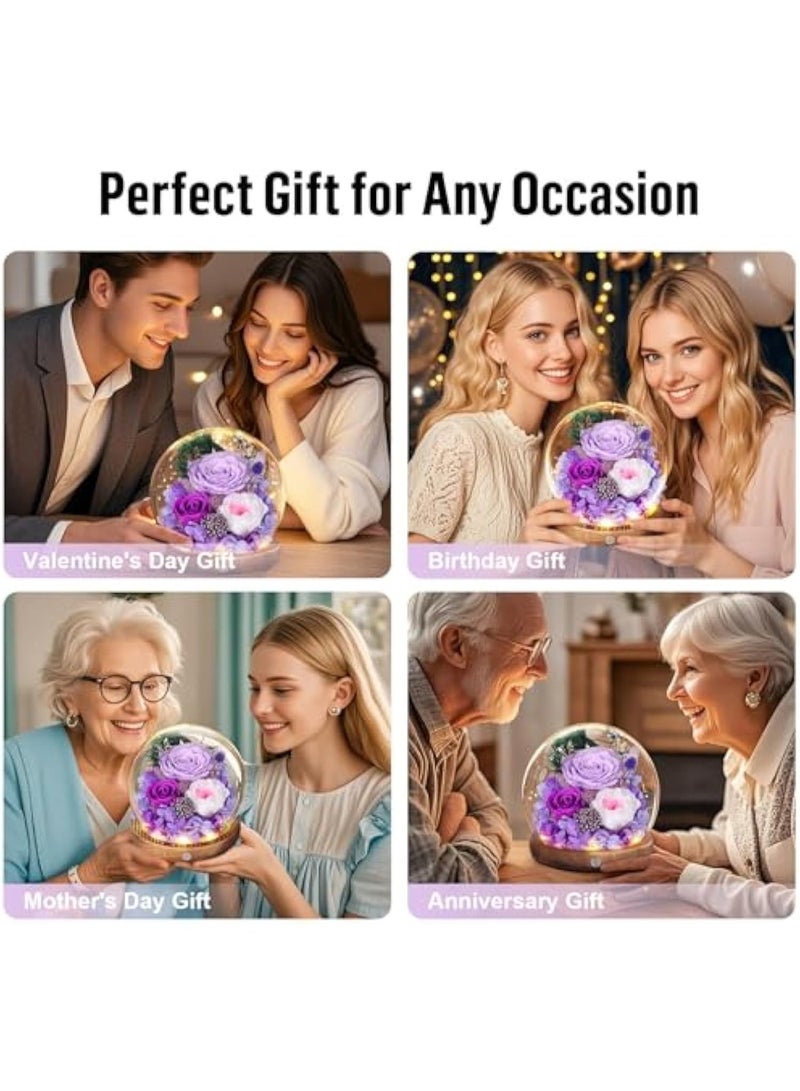 Valley of Rain & Forest Long-Lasting Real Flowers, Unique Floral Gift for You to Send Love for All Occasions, for Indoor Decoration (Champagne Rose, Yellow Rose) - Image 3