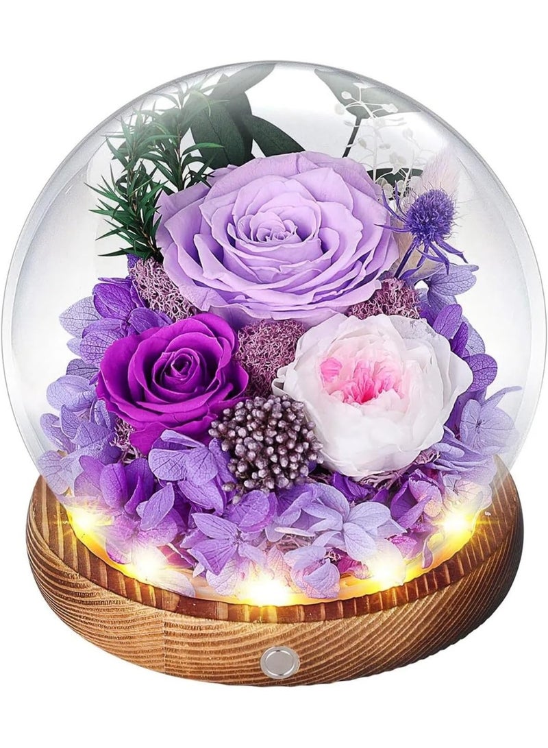 Valley of Rain & Forest Long-Lasting Real Flowers, Unique Floral Gift for You to Send Love for All Occasions, for Indoor Decoration (Champagne Rose, Yellow Rose) - Image 4