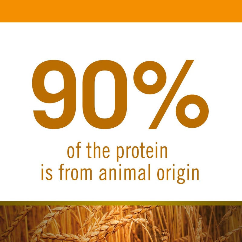 Farmina N&D Ancestral Grain Adult Mini Dog Food | Chicken, Spelt, Oats & Pomegranate | No Artificial Preservatives|Complete Nutrition for Adult Dogs | 0.8kg - Image 5