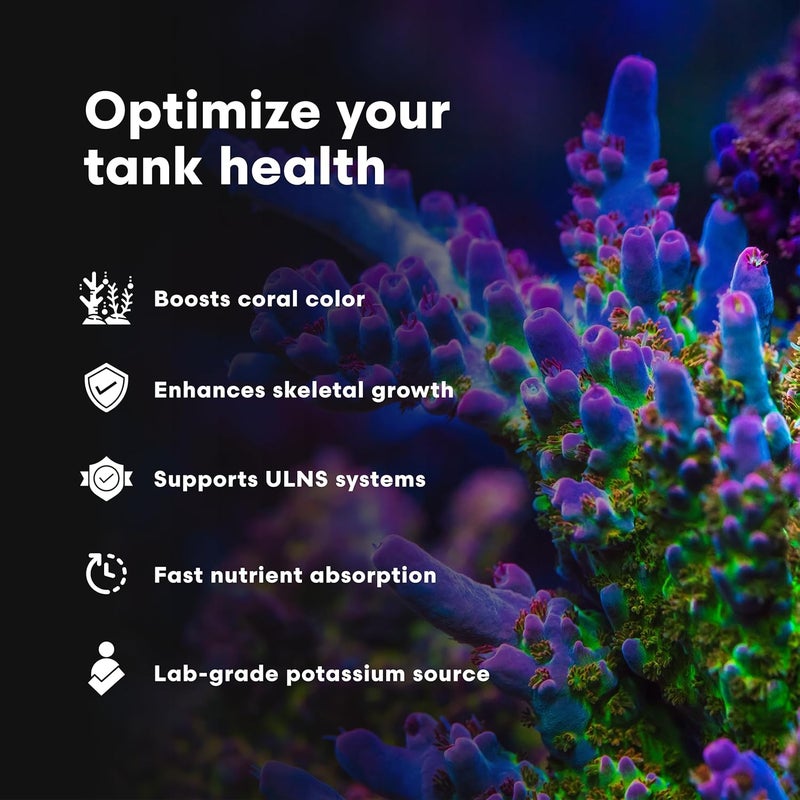 Brightwell Aquatics Potassion-P Potassium Supplement for Reef Aquaria - 600g (1.32 lbs) - Image 4