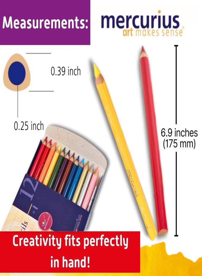 Mercurius AMS Watercolor Pencils 12 pack - Image 5