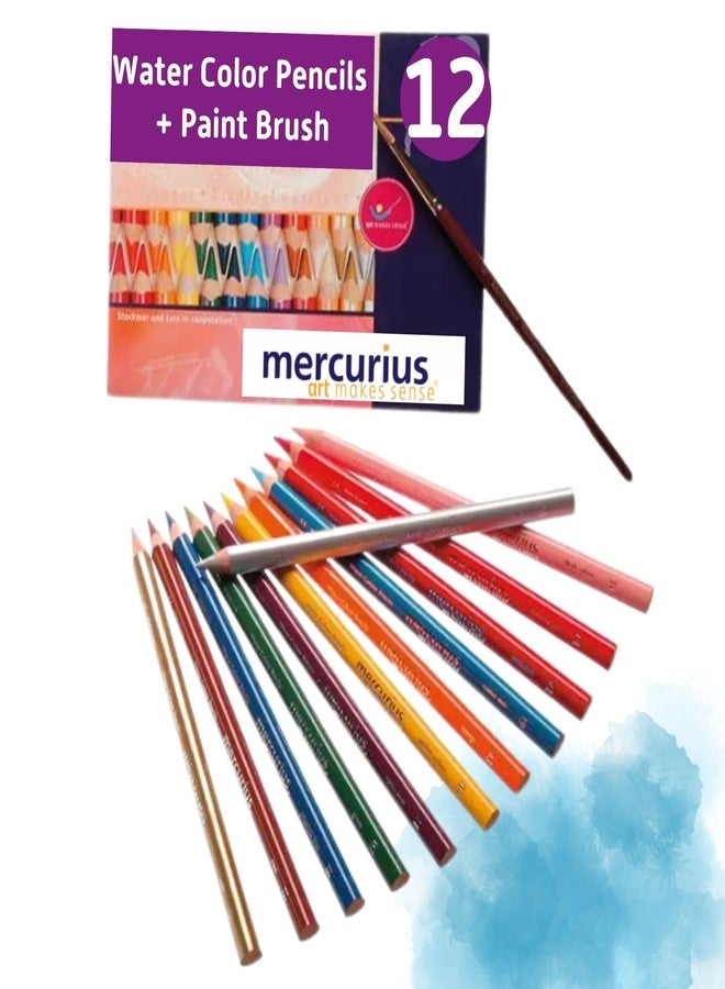 Mercurius AMS Watercolor Pencils 12 pack - Image 1