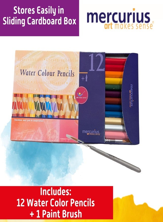 Mercurius AMS Watercolor Pencils 12 pack - Image 2