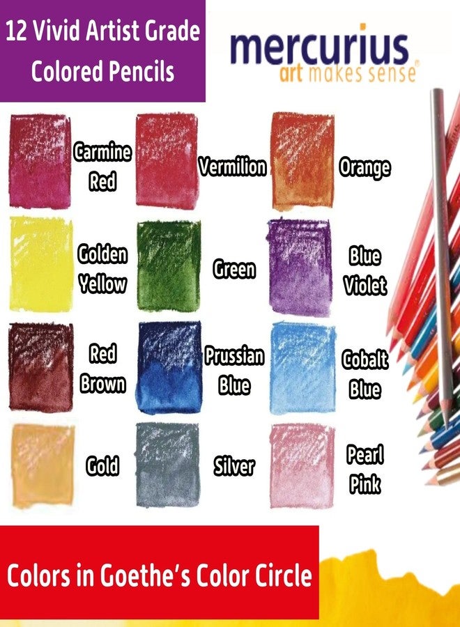 Mercurius AMS Watercolor Pencils 12 pack - Image 3