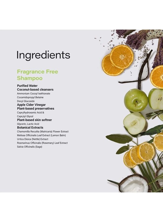 PHILLIP ADAM شامبو خالي من العطور - خالي من الكبريتات وخالي من البارابين - يوازن درجة الحموضة للشعر وفروة الرأس - 12 أونصة - Image 4